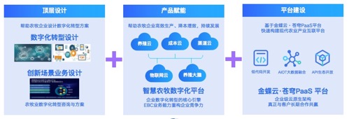 63563de2a3874.jpg
