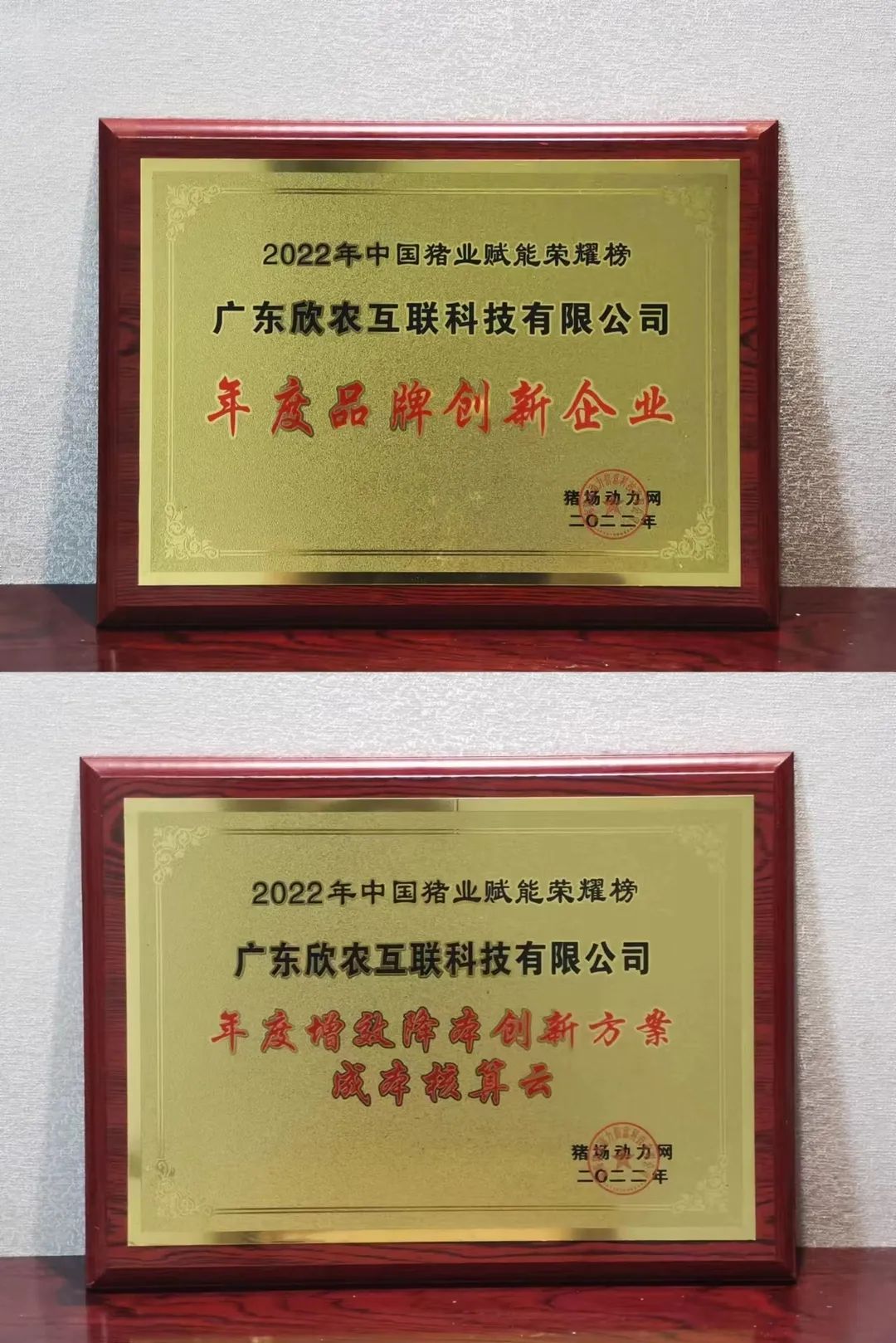 6445f69fbd626.jpg 6445f69fbd626.jpg