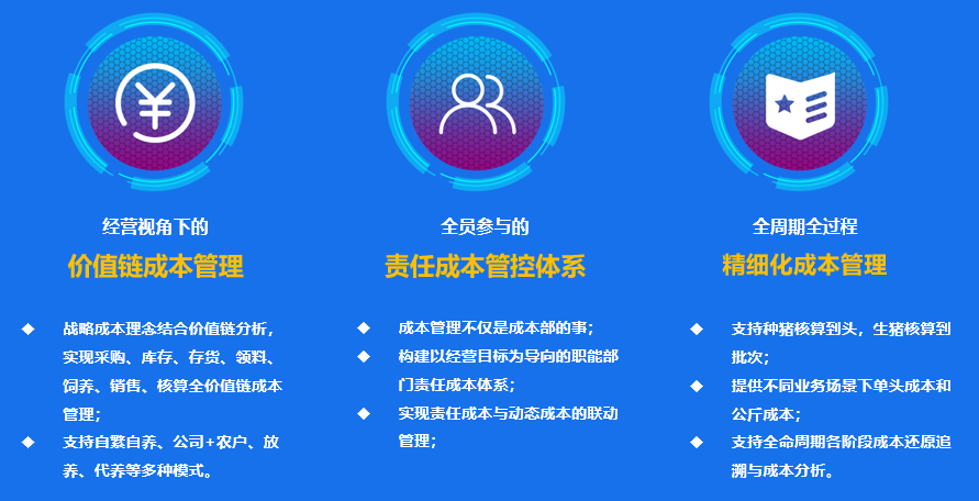 657a5b5ec5c28.png 657a5b5ec5c28.png