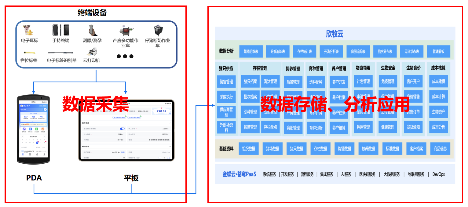 667bf4e4935b6.png