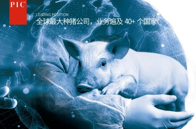 687f6022d8156.png