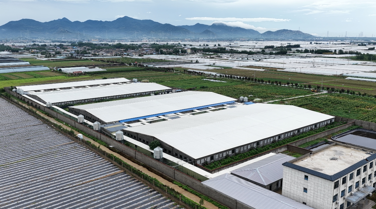 690337fa8c9b4.png 690337fa8c9b4.png